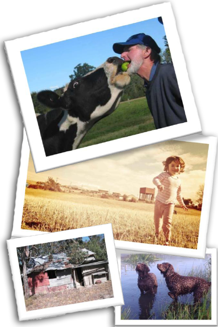 Join us for the 2012 National Centre for Farmer Health 'Celebrating Farm Life' photography competition